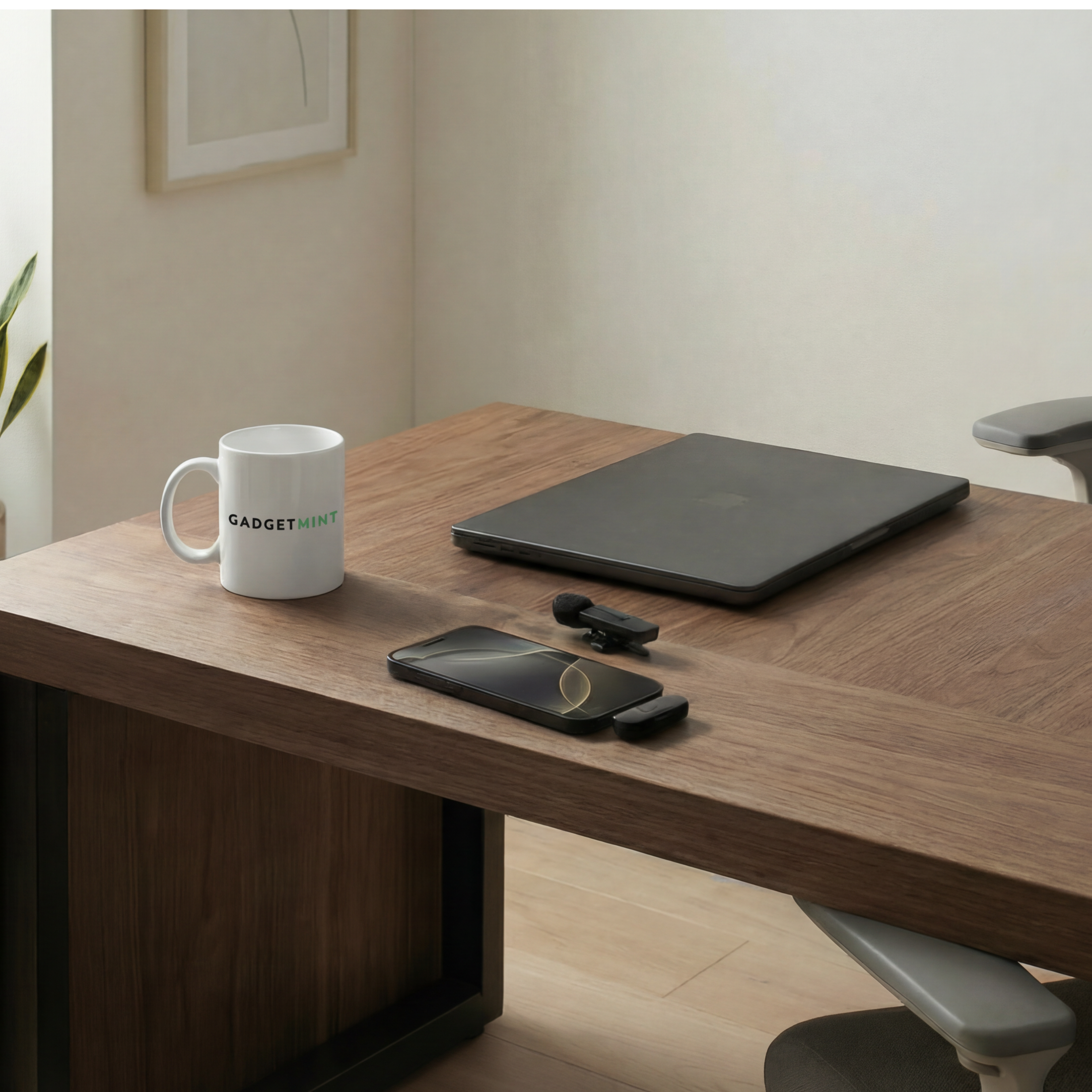 Wireless Mini Microphone