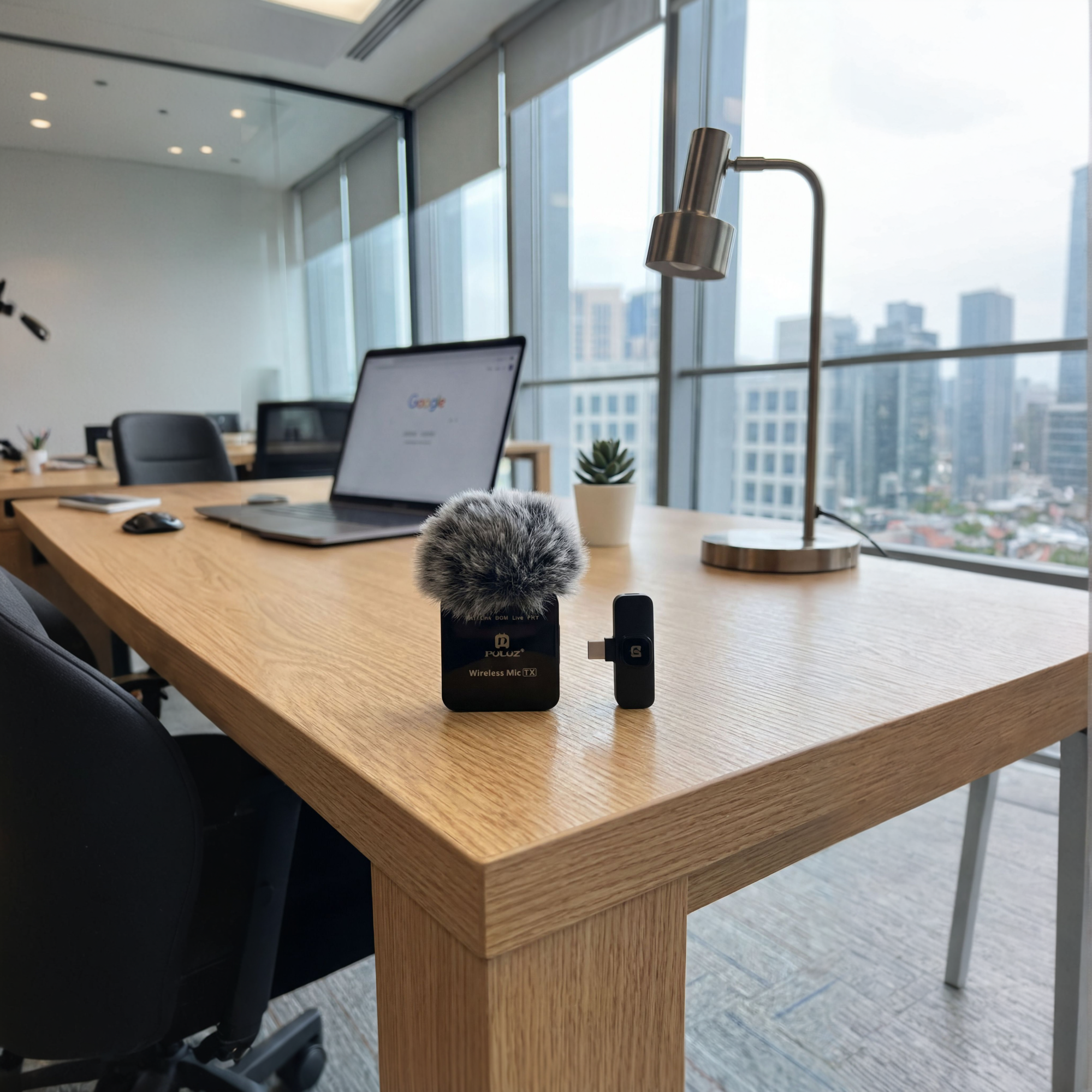 Premium Wireless Microphone with Carry Case